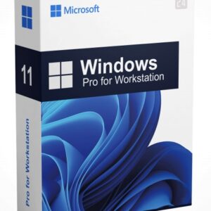Windows 11 Pro Workstation